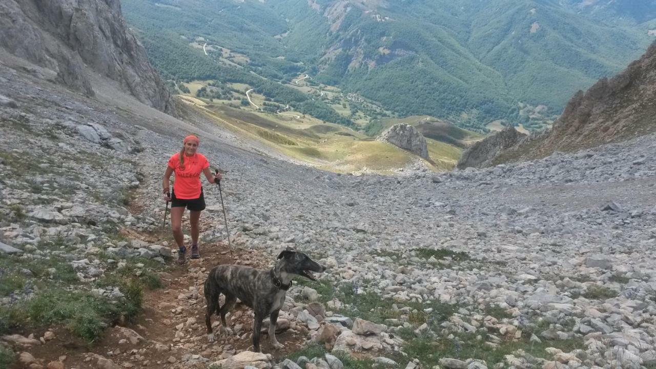 Хостел Refugio La Ardilla Real Посада-де-Вальдеон Экстерьер фото